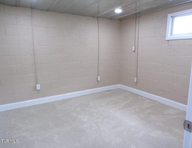 basement featuring carpet floors