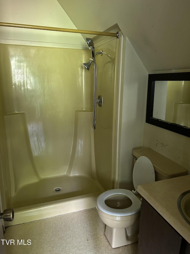 bathroom with vanity, lofted ceiling, a shower, and toilet