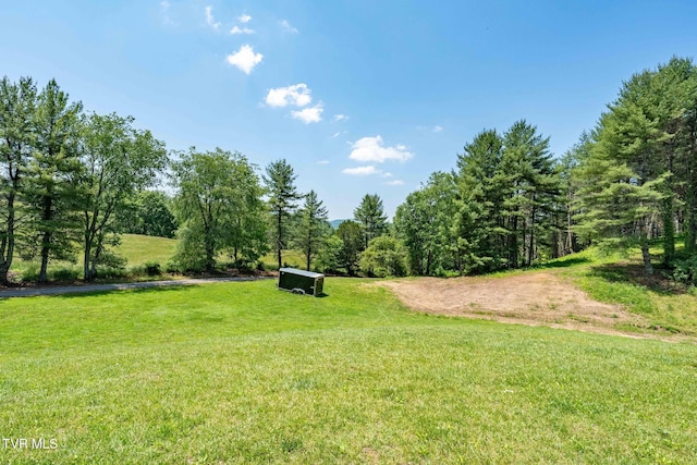 418 Johnson Hollow Rd, Mountain City, TN 37683 - photo 25