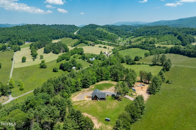 418 Johnson Hollow Rd, Mountain City, TN 37683 - photo 29