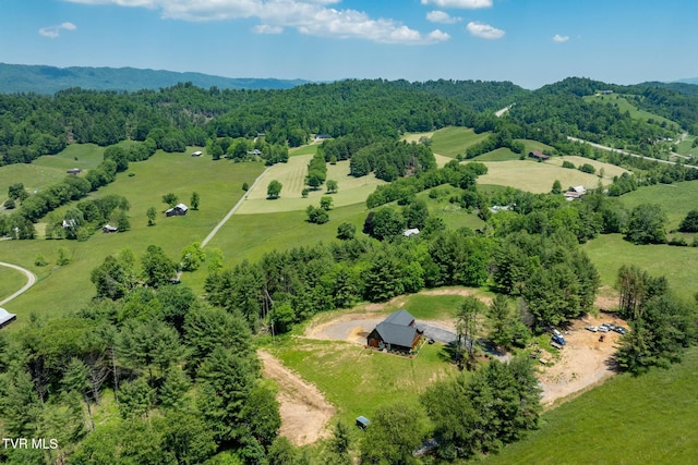 418 Johnson Hollow Rd, Mountain City, TN 37683 - photo 30