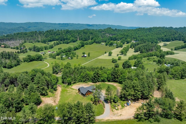 418 Johnson Hollow Rd, Mountain City, TN 37683 - photo 31