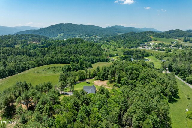 418 Johnson Hollow Rd, Mountain City, TN 37683 - photo 33