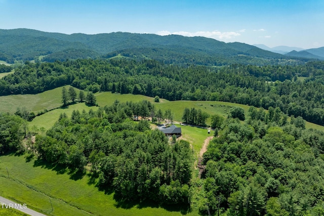 418 Johnson Hollow Rd, Mountain City, TN 37683 - photo 35