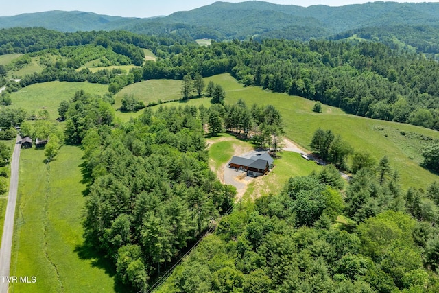418 Johnson Hollow Rd, Mountain City, TN 37683 - photo 36