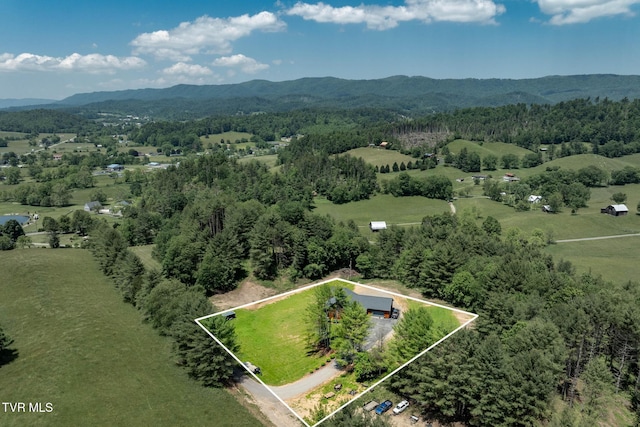 418 Johnson Hollow Rd, Mountain City, TN 37683 - photo 38