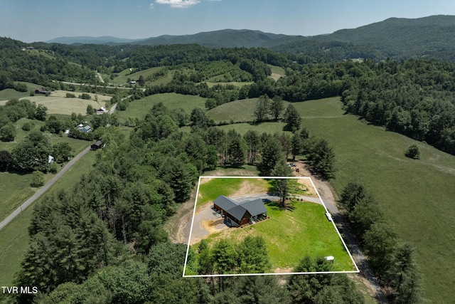 418 Johnson Hollow Rd, Mountain City, TN 37683 - photo 39
