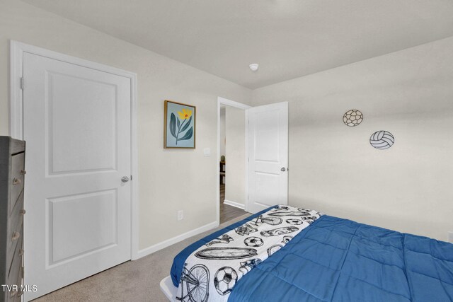 160 Crawford Cir, Bristol, TN 37620 - photo 29