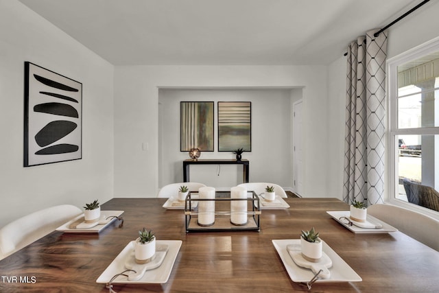 dining space featuring a wealth of natural light