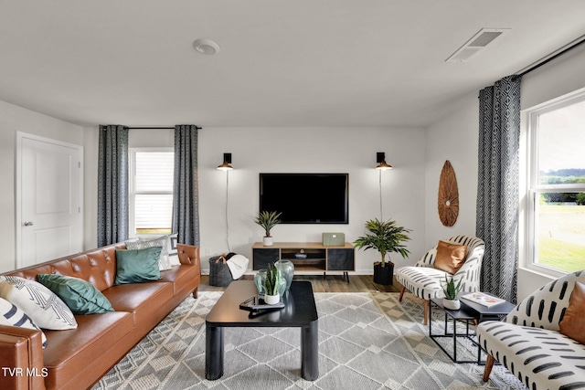 living room featuring hardwood / wood-style floors