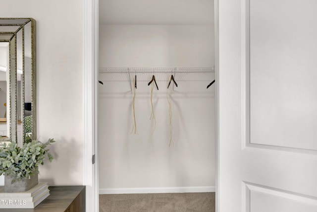 mudroom with carpet