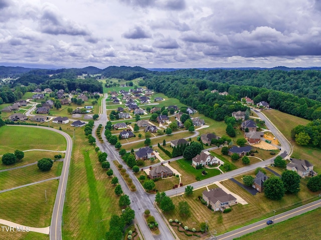 5 Sweet Pea Ter, Johnson City, TN 37615 - photo 8
