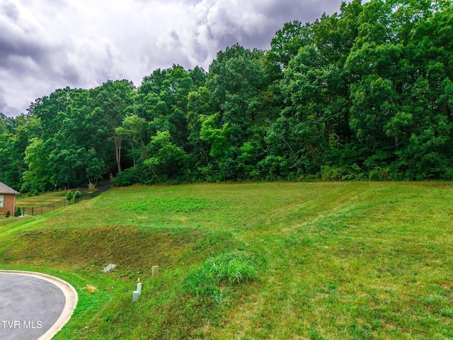 5 Sweet Pea Ter, Johnson City, TN 37615 - photo 5