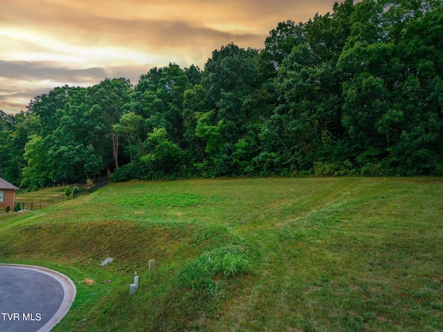 5 Sweet Pea Ter, Johnson City, TN 37615 - photo 6