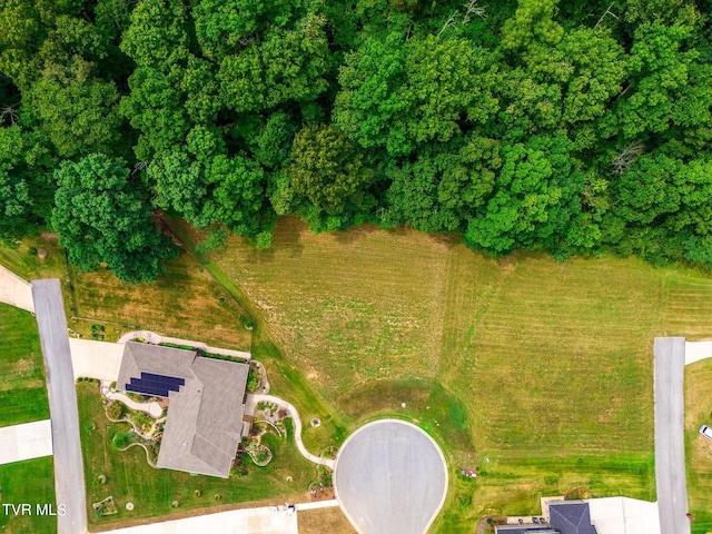 5 Sweet Pea Ter, Johnson City, TN 37615 - photo 1
