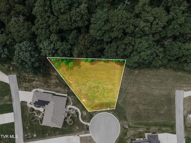 5 Sweet Pea Ter, Johnson City, TN 37615 - photo 3