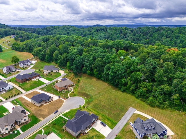 5 Sweet Pea Ter, Johnson City, TN 37615 - photo 10