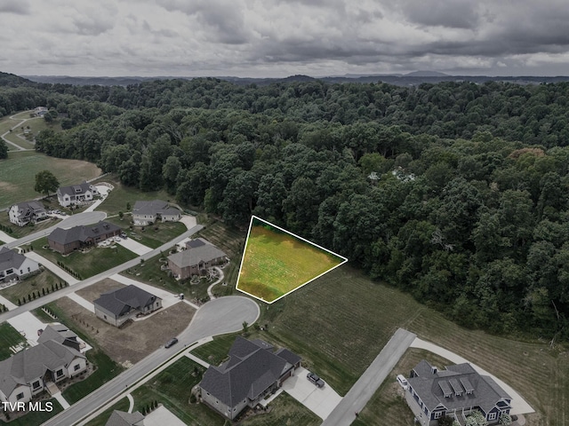 5 Sweet Pea Ter, Johnson City, TN 37615 - photo 4