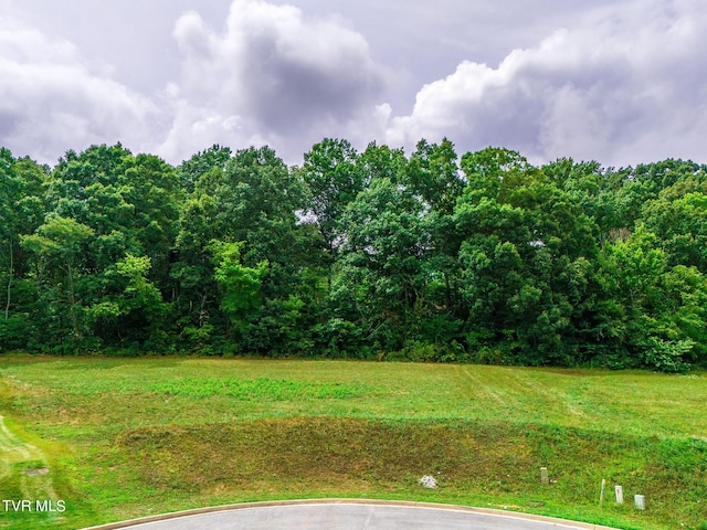 5 Sweet Pea Ter, Johnson City, TN 37615 - photo 11