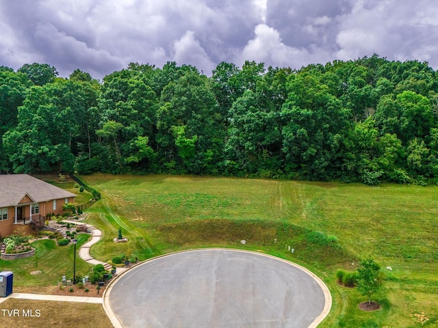 5 Sweet Pea Ter, Johnson City, TN 37615 - photo 2
