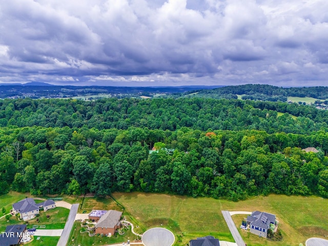 5 Sweet Pea Ter, Johnson City, TN 37615 - photo 12