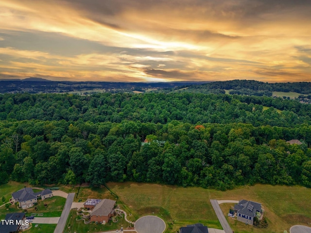 5 Sweet Pea Ter, Johnson City, TN 37615 - photo 13