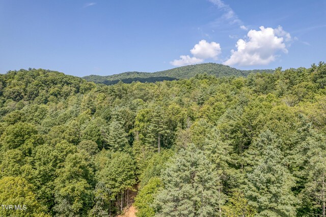 0 Waters Rd, Laurel Bloomery, TN 37680 - photo 4