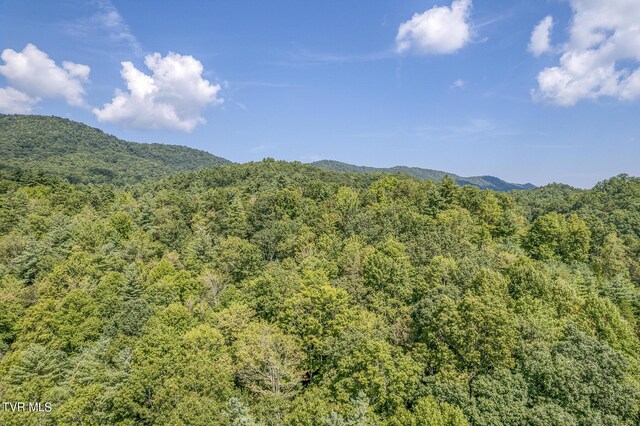 0 Waters Rd, Laurel Bloomery, TN 37680 - photo 5
