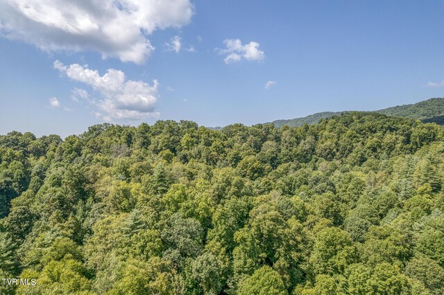 0 Waters Rd, Laurel Bloomery, TN 37680 - photo 7