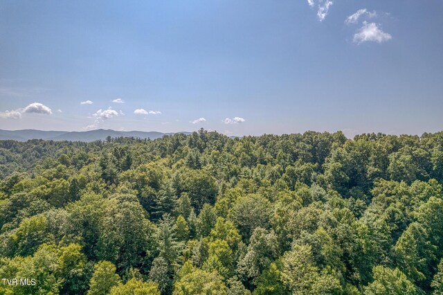 0 Waters Rd, Laurel Bloomery, TN 37680 - photo 8