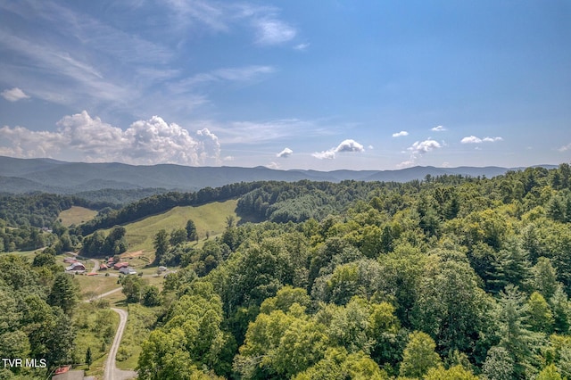 0 Waters Rd, Laurel Bloomery, TN 37680 - photo 9