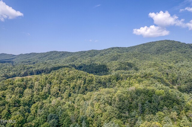0 Waters Rd, Laurel Bloomery, TN 37680 - photo 10
