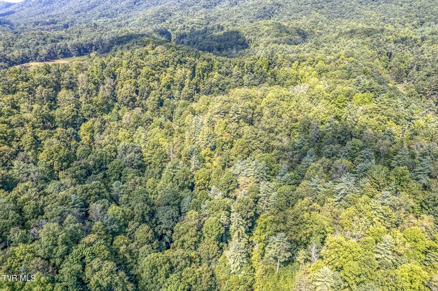 0 Waters Rd, Laurel Bloomery, TN 37680 - photo 11