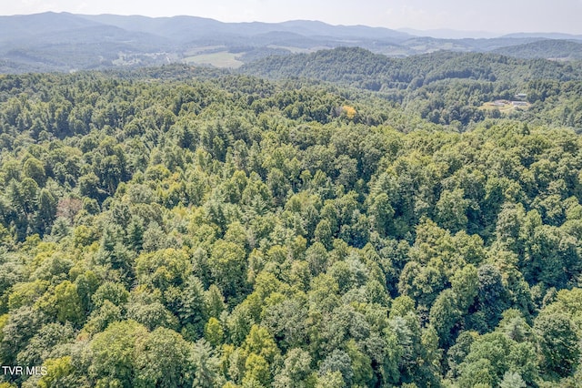 0 Waters Rd, Laurel Bloomery, TN 37680 - photo 13