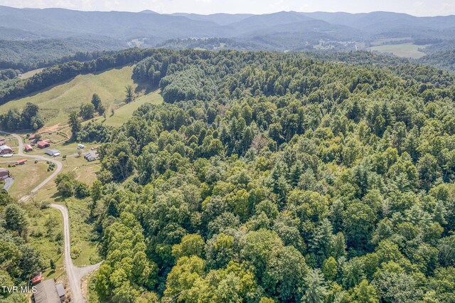 0 Waters Rd, Laurel Bloomery, TN 37680 - photo 14