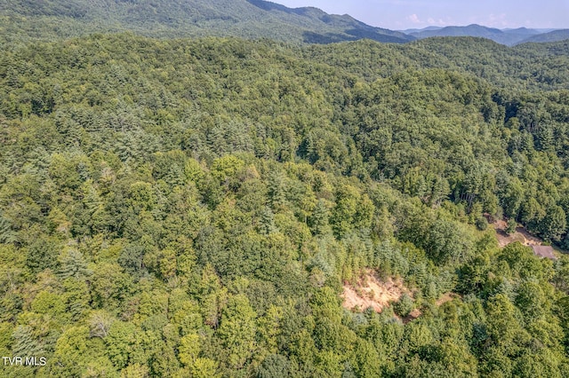 0 Waters Rd, Laurel Bloomery, TN 37680 - photo 15