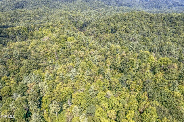 0 Waters Rd, Laurel Bloomery, TN 37680 - photo 16
