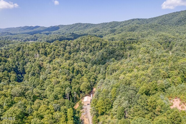 0 Waters Rd, Laurel Bloomery, TN 37680 - photo 17