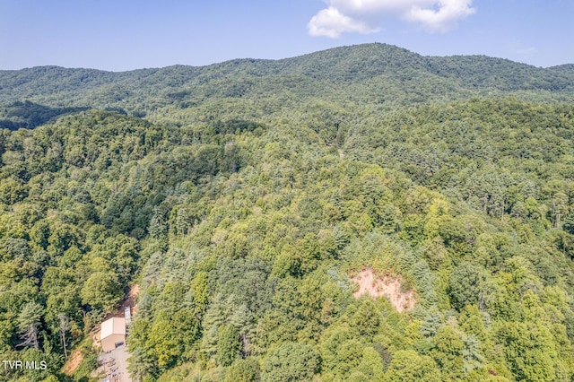 0 Waters Rd, Laurel Bloomery, TN 37680 - photo 18