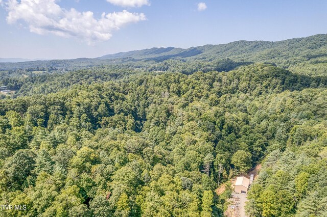 0 Waters Rd, Laurel Bloomery, TN 37680 - photo 19