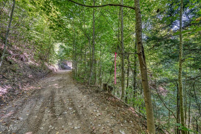 0 Waters Rd, Laurel Bloomery, TN 37680 - photo 22