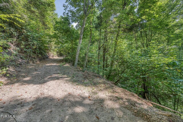 0 Waters Rd, Laurel Bloomery, TN 37680 - photo 23