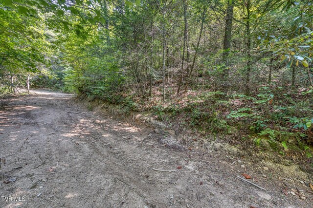 0 Waters Rd, Laurel Bloomery, TN 37680 - photo 24