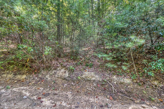 0 Waters Rd, Laurel Bloomery, TN 37680 - photo 25