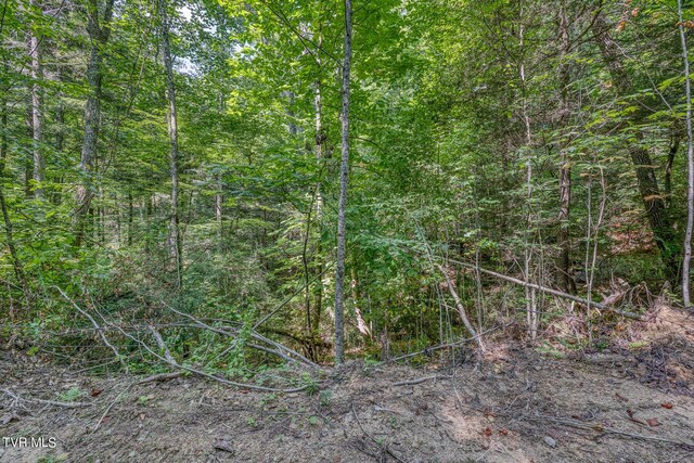 0 Waters Rd, Laurel Bloomery, TN 37680 - photo 26