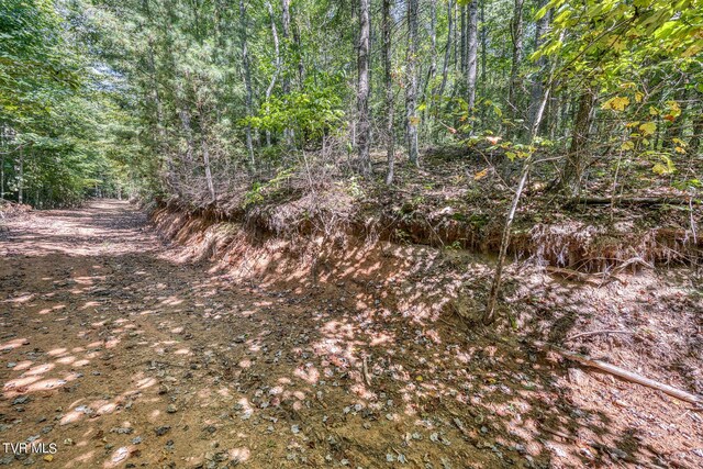 0 Waters Rd, Laurel Bloomery, TN 37680 - photo 27
