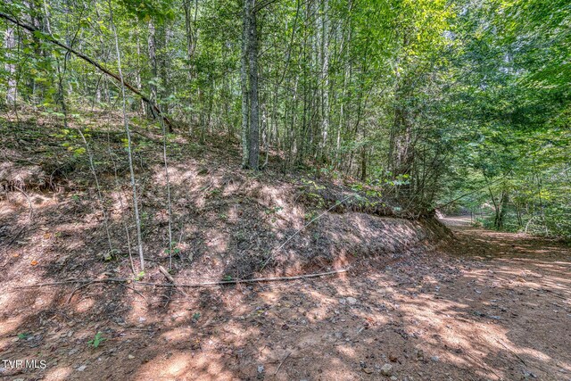 0 Waters Rd, Laurel Bloomery, TN 37680 - photo 28