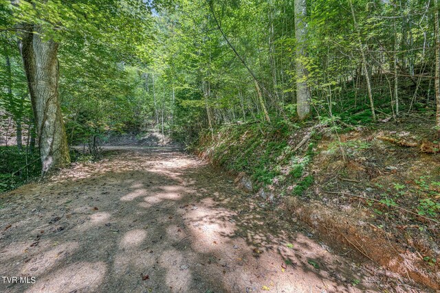 0 Waters Rd, Laurel Bloomery, TN 37680 - photo 29
