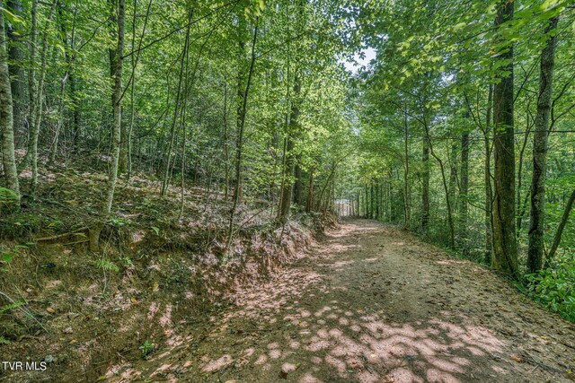 0 Waters Rd, Laurel Bloomery, TN 37680 - photo 30