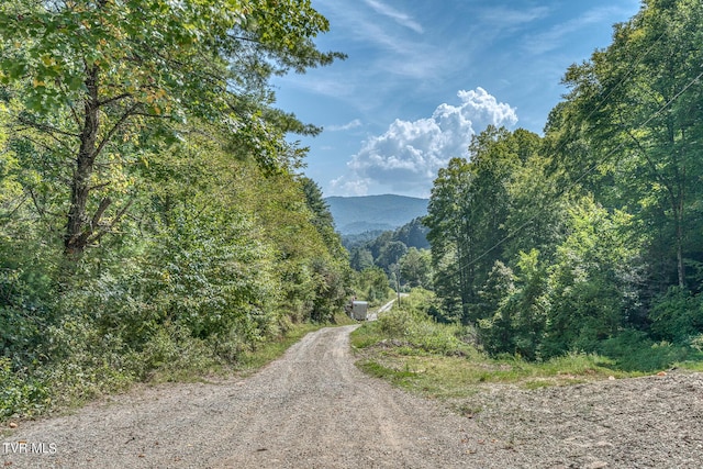 0 Waters Rd, Laurel Bloomery, TN 37680 - photo 32